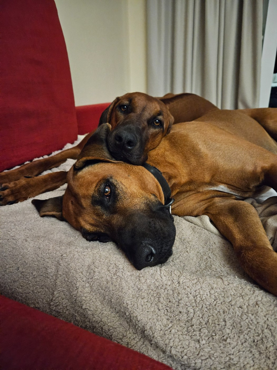 Quelques photos des vacances